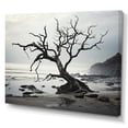 thumbnail image 2 of Designart "Beach Tree Photo Charm" Coastal Beach Wall Art Print, 2 of 5