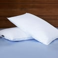 thumbnail image 2 of Puredown® Feather & Down Pillow Set of 2, 2 of 5