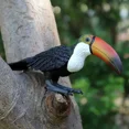 thumbnail image 5 of Figuras de acción de simulación de aves, animales, búho, flamenco, avestruz, loro, águila, guacamayo escarlata, pavo real, tucán, albatros, juguetes en miniatura, 5 of 5