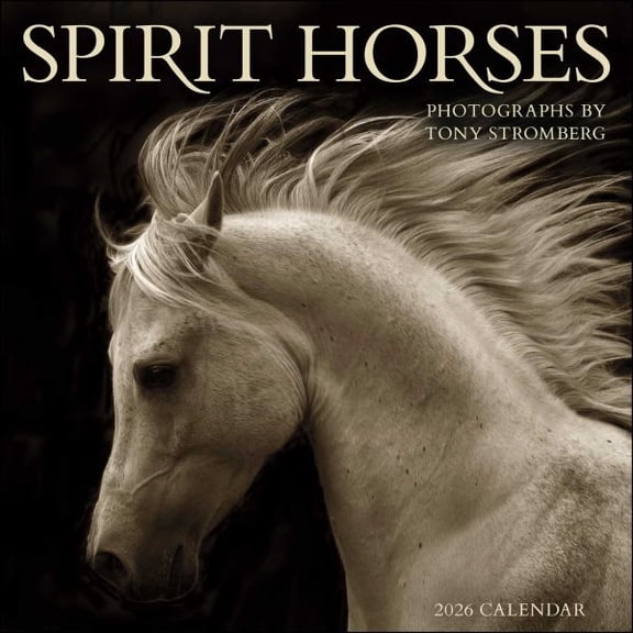 Pre-Owned Spirit Horses 2026 Wall Calendar by Tony Stromberg, (Paperback)