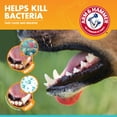 thumbnail image 5 of Arm & Hammer Advanced Care Fresh Breath Dog Toothpaste & Toothbrush Kit Vanilla Ginger Flavor, 5 of 7