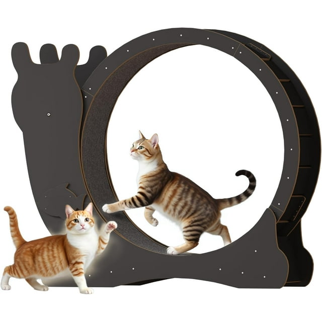 Homall Roue d'Exercice pour Chat, Grande Roue de Course d'Exercice de 48 Pouces pour Chat avec Mécanisme de Verrouillage/roue Silencieuse/piste Tapis, Tapis Roulant pour Chats d'Intérieur, Noir