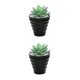 thumbnail image 2 of Injueey Bonsái Artificial paisaje interior simulación decorativa suculenta miniatura Mini plantas adornos de arreglo de escritorio Type1 NO1, 2 of 6