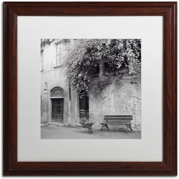 Trademark Fine Art "Liguria I" Canvas Art by Alan Blaustein, White Matte, Wood Frame