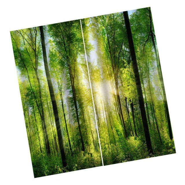 facefd Impression Numérique Rideaux 3D pour Chambre à Coucher Salon Forêt de Soleil