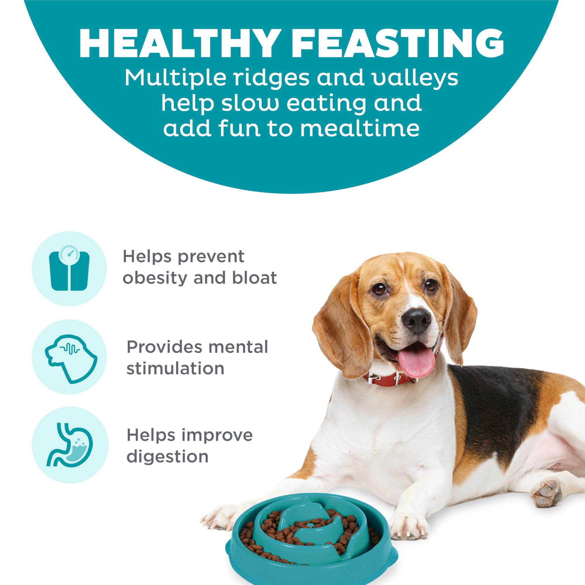 Slow feed bowl, 2 cups, for small/medium pets. Non-slip maze design slows eating, aids digestion, prevents bloating. Turquoise/green pattern.