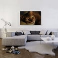 thumbnail image 2 of ARTCANVAS Abyssinian Cat Portrait Canvas Art Print - Size: 40" x 26" (0.75" Deep), 2 of 9