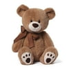 Gund 4048544 Kiwi Teddy Bear Stuffed Animal Plush, 17-Inch