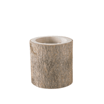 Serene Spaces Living Wood Bark Vase with Glass Insert, 5.5"x4.5", Pack of 1