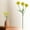 Yellow, variant on Clearance Under $3 Artificial Dandelion 3-Head Dandelion Spray For Living Room Vase Filler,Plastic (E) (1Pc)