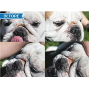 Squishface Wrinkle Paste - Cleans Wrinkles, Tear Stains and Tail Pockets, Anti-Itch, 2 oz.