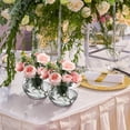 Fish Bowls for Centerpieces Plastic Clear Fish Bowl for Drinks