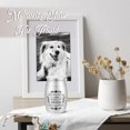 thumbnail image 3 of 3 Inches Small Keepsake Cremation Urn for Human / Pet Ashes Mini Cremation Urns Memorial Ashes Urn Mini Urn Stainless Steel Ashes Holder Small Ash Urn for Ashes, 3 of 7