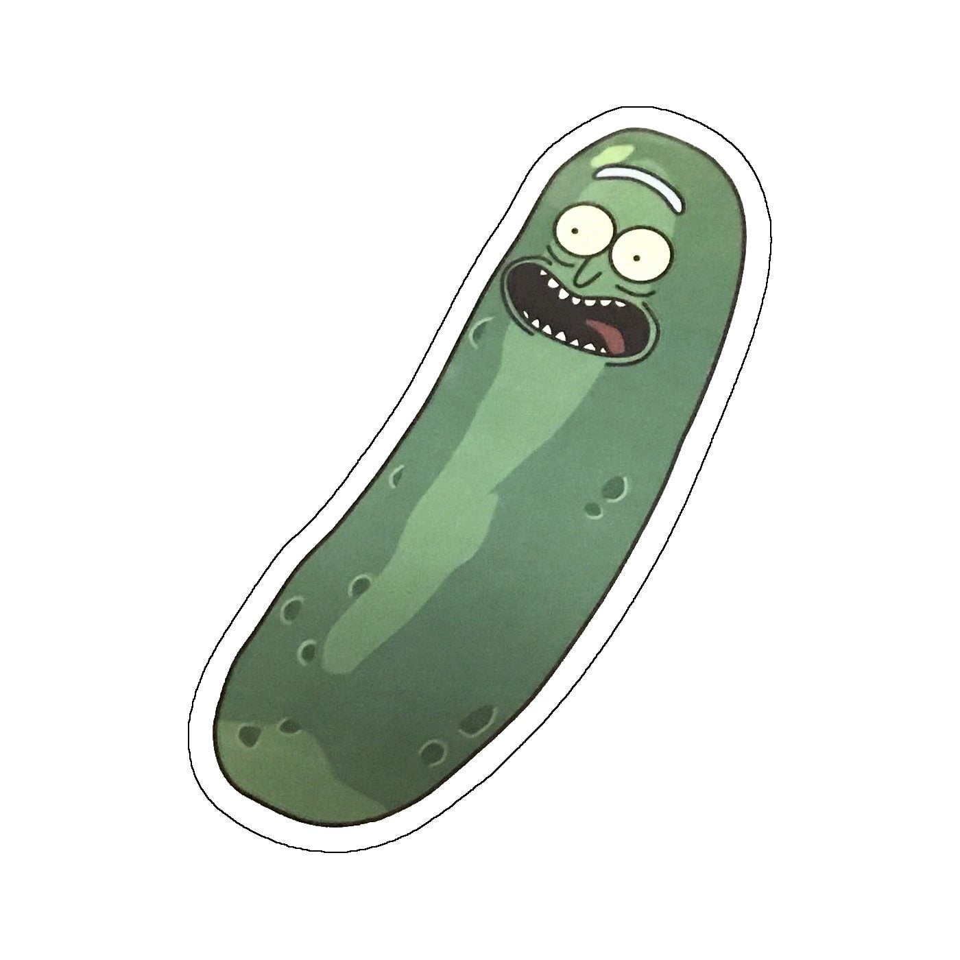 Rick and Morty Animated TV Series Pickle Rick Image Embroidered Patch NEW UNUSED 