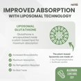 thumbnail image 4 of Herba Liposomal Glutathione Supplement - 600mg Per Day | 60 Vegetable Capsules | Made in Canada, 4 of 9