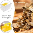 thumbnail image 4 of 1x Foam Queen Bee Mating Case Bees Copulation Beehive Tools Beekeepin UKGJ P3D9, 4 of 7