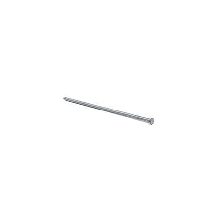 

Grip-Rite 20D 4 in. Pole Barn Hot-Dipped Galvanized Steel Nail Flat Head 5 lb