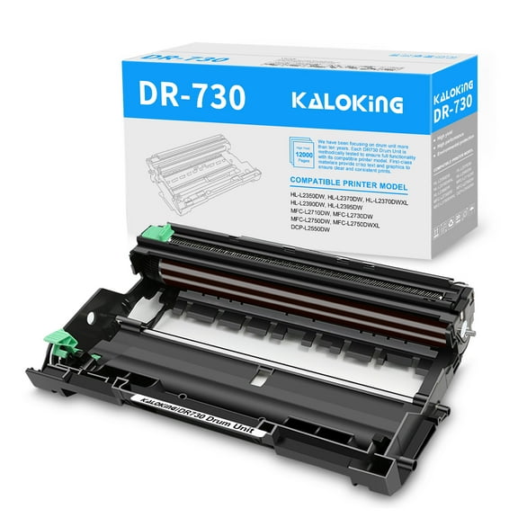 KALOKING Compatible Drum Unit Replacement for Brother DR730 DR-730 for MFC-L2710DW HL-L2395DW HL-L2370DW MFC-L2750DW DCP-L2550DW HL-L2390DW Printer (1 Drum)