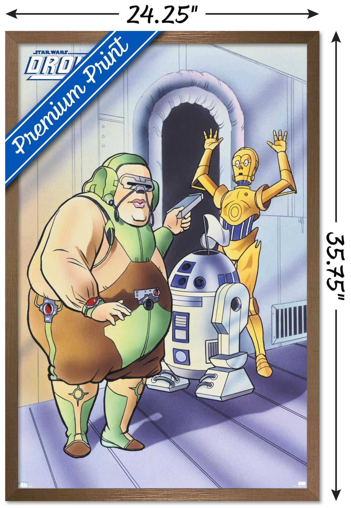 Star Wars: Droids - White Flag Wall Poster, 22.375" x 34", Framed