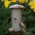 thumbnail image 4 of More Birds Giant Combo Screen Bird Feeder, 4 of 6