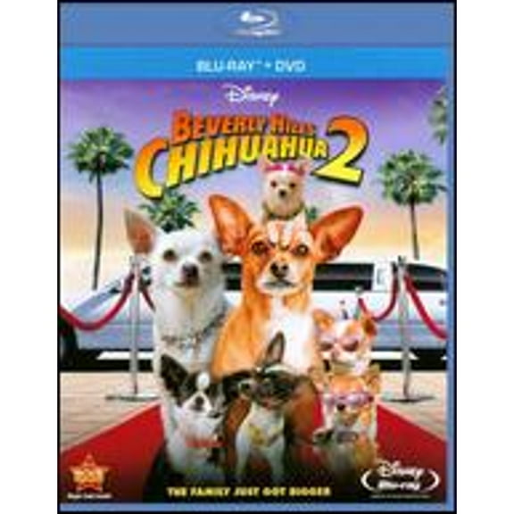 Pre-Owned Beverly Hills Chihuahua 2 [2 Discs] [Blu-ray/DVD] (Blu-Ray 0786936806328) directed by Alex Zamm