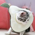 thumbnail image 3 of Flmtop Cône pour Chaton Résistant à l'Usure Doux Flexible en Forme de Pomme pour la Maison, 3 of 9