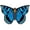 Blue, variant on X-Kites Butterfly/PaPillon 28" Nylon Kite (Purple)