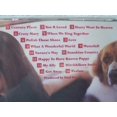 thumbnail image 4 of Loose, 4 of 4