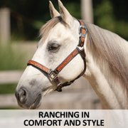 Schneiders McKenzie Padded Leather Ranch Halter for Horses | Size Full Horse
