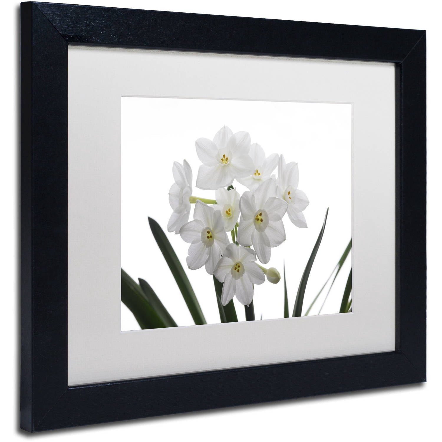 Trademark Fine Art "Paper White Bouquet" Canvas Art by Kurt Shaffer White Mat, Black Frame