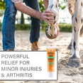 thumbnail image 4 of Absorbine Veterinary Liniment Gel, Topical Menthol Analgesic Rub for Sore Muscle, Joint & Arthritis Pain Relief – 3oz, 4 of 4