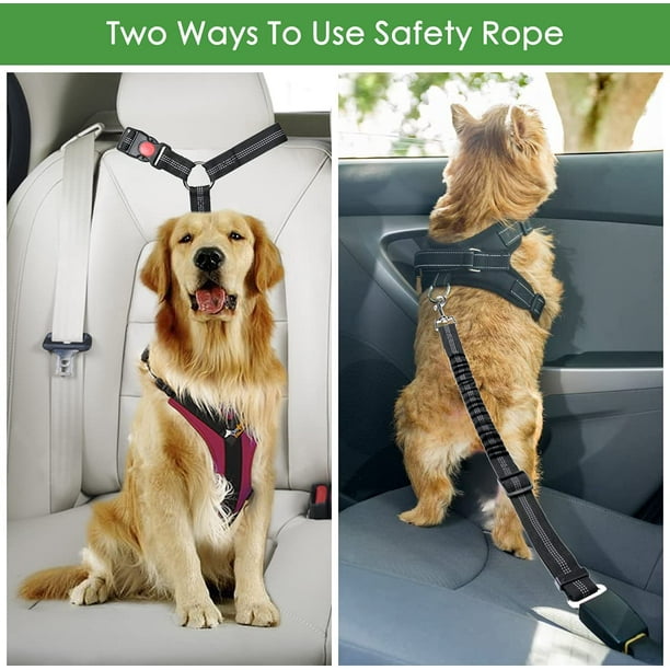 Harnais de sécurité réglable pour chien, ceinture de sécurité pour