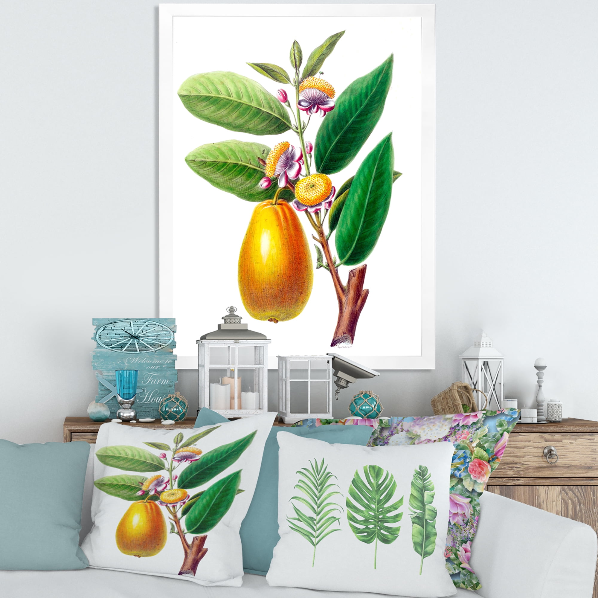 Designart 'Ancient Fruits I' Farmhouse Framed Art Print