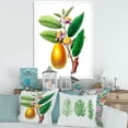 thumbnail image 3 of Designart 'Ancient Fruits I' Farmhouse Framed Art Print, 3 of 4