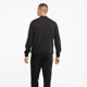 thumbnail image 4 of Conjunto Deportivo Puma Baseball Tricot Para Hombre 585843 rojo M, 4 of 11