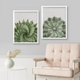 thumbnail image 3 of PixonSign Framed Wall Art Prickly Green Cactus Posters, Set of 2 Southwest Texas Arizona Desert Plants Illustrations Wall Decor, Adhesive Canvas Prints for Home Decor - 11"x14" White, 3 of 5