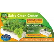 Hydraponic Soil-Free Salad Green Grower with 4 Stacks