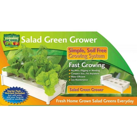Hydraponic Soil-Free Salad Green Grower with 4 Stacks