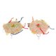 thumbnail image 4 of Juguetes trituradores para loros Bling Bling 2 piezas colgantes de madera y bambú, 4 of 12