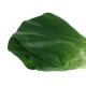 thumbnail image 3 of Vegetal Artificial para Cocina Comida Col China segundo BLESIY Verduras Artificiales Realistas, 3 of 7