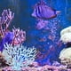 thumbnail image 2 of 2 piezas de resina de coral de acuario, imitación artificial de coral, césped o planta acuática, decoración de plástico artificial para acuario, decoración de coral, adornos de banco de peces kaili Sencillez, 2 of 5