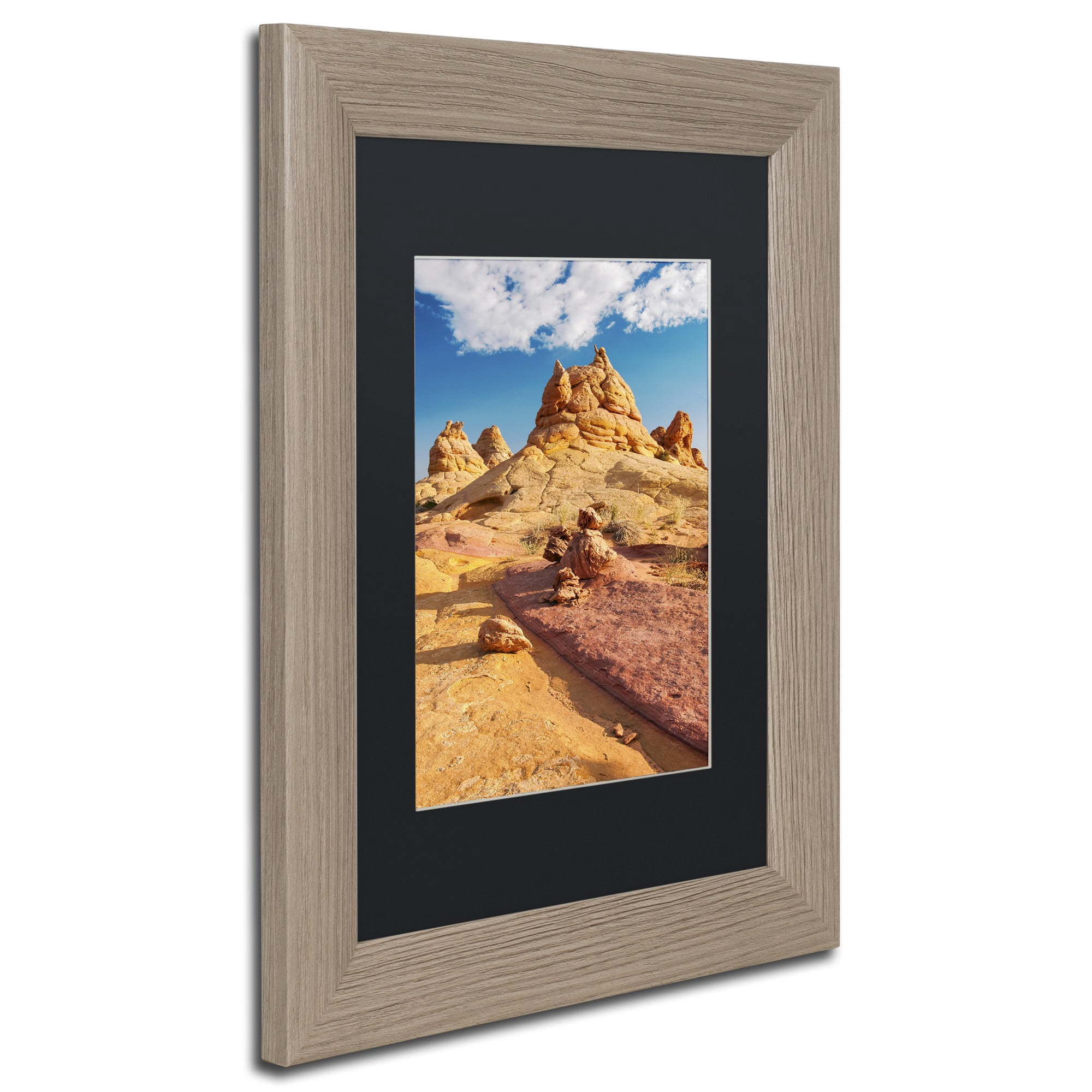 Trademark Fine Art "Viking Horns" Canvas Art by Michael Blanchette Photography Black Matte, Birch Frame