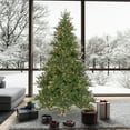thumbnail image 6 of Vickerman 10' Mixed Country Pine Artificial Christmas Tree, Clear Dura-Lit® Mini Lights, 6 of 6