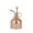 Rose Gold, variant on Small Rose Gold Stainless Steel Spray Can - Handheld Spray Bottle for Potted Plants, Humidity Sprayer Bottle for Houseplant Care