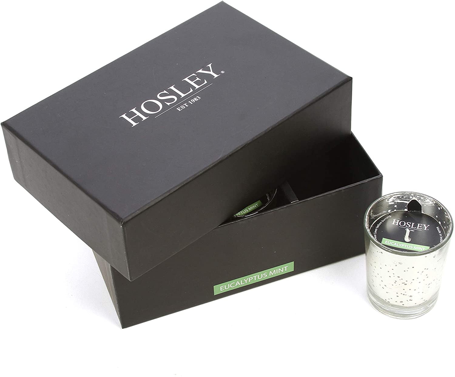 Hosley Set of 6 Highly Fragranced Eucalyptus Mint Votive Candles in Silver Metallic Glass