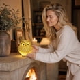 thumbnail image 7 of Gold Owl Night Light Lamp 4 Inch Cute Table Led Lamp for Bedroom Warm Night Light Decorative Gold Home Decor for Living Room Bedside Table Desk Ornament, 1 Pack, 7 of 7