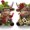 Red Wine, variant on 2 Pcs Valentine's Day Highland Cow Figurines Love Heart Rose Highland Cow Gnomes Scottish Resin Statue Calf Lovers Romantic Gifts for Valentines Home Kitchen Office Tiered Tray Table Easter Decora