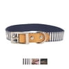 Vibrant Life Metal & Polyester Striped Fashion Dog Collar, Blue, Medium