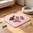 thumbnail image 4 of Cififendec Cooling Pet Sleeping Mat, 35.43"×27.56", Breathable Heat Dissipation Ice Pad for Pet Summer Temperature Relief, Indoor Kennel Sofa Floor Rest Cushion, 4 of 5