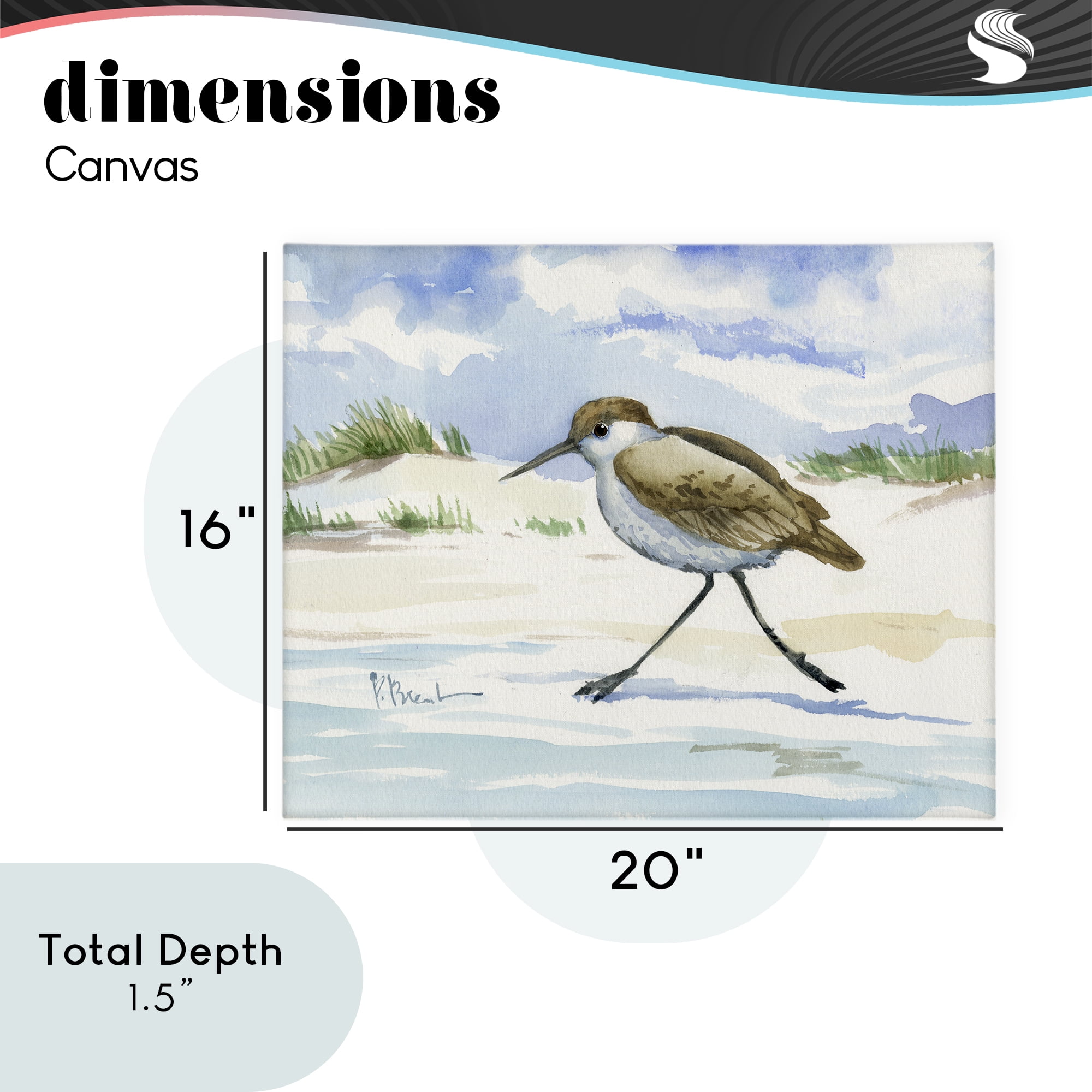 Stupell Industries Inlet Beach Sandpiper Running Canvas Wall Art, design by Paul Brent